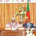 Diaspora camerounaise:les attentes du gouvernement 