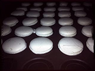 macarons recette de base