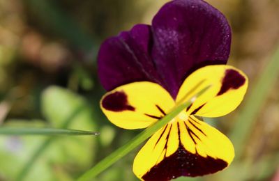 retour dans le jardin