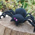 Tarantula