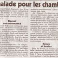 Article du Canard enchaîné du 6 juin 2012