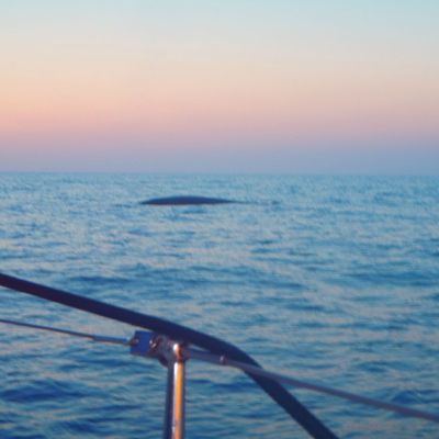 point d'étape à la première semaine