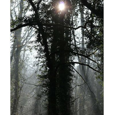 Voyage élégiaque, Quatre saisons