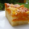 Clafoutis aux abricots