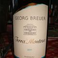 georg breuer 2011 rheingau riesling "terra montosa"