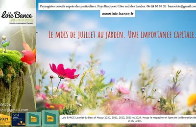 👨‍🌾Juillet 2024 au jardin. Paysagiste Pays Basque Paysagiste Landes