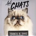 Lol Chats - Josselin BORDAT & Anaïs CARAYON & Céline BARRERE & Cécile SIMON