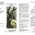 Bulletin de parrainage oliviers 2015