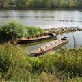 Sur les rives de la Loire