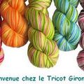 Ouverture du blog "Au tricot Girondin"