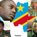 En attendant le 17 janvier 2009 : La RDC entre guerre et paix