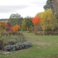 Octobre au jardin.