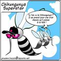La vérité sur le Chikungunya