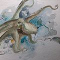 Octopus watercolor 