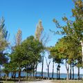 Une balade au Lac de LEON (40), le 16 octobre....(suite n° 3... et fin)...