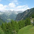 Le long de la bisse du Trient