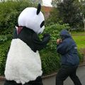 Seize the Opportunity of Mascot Costume Promotion