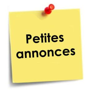LES PETITES ANNONCES