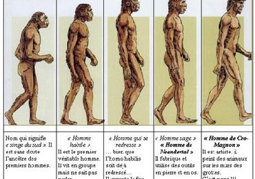 Parcourir le chemin de l'évolution