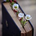 VIEUX LIVRES, DECORATIONS EN PAPIER & FETE DES AMOUREUX