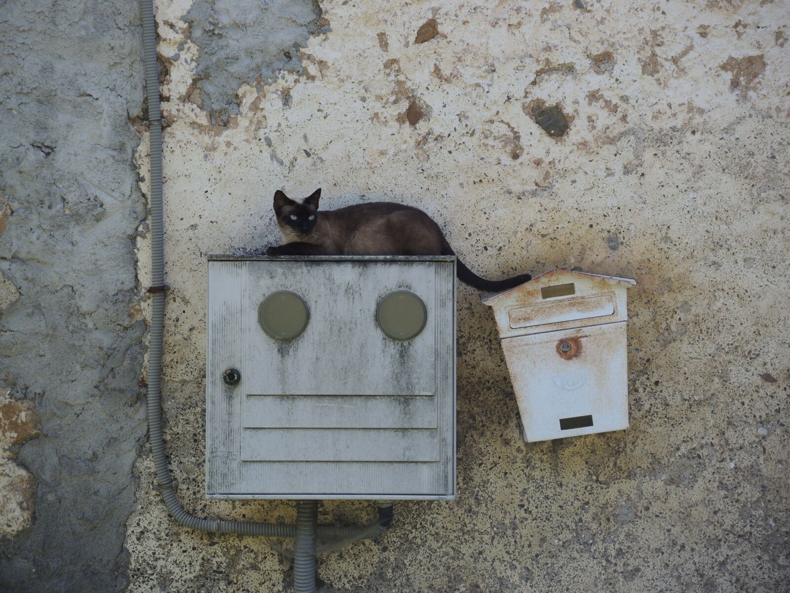 Urdax, rue Bo. Iribre, petite mimine (Espagne)