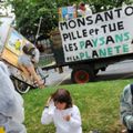 Monsanto annonçait en juin 2012 la construction en Argentine de sa plus grande fabrique de semences de maïs transgéniques (OGM) 