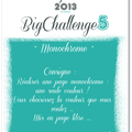 Big challenge 5 page monochrome...