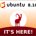 Installation et compléments à l'installation d'une Distribution Ubuntu 8.10 Intrepid Ibex
