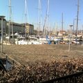 le port de plaisance