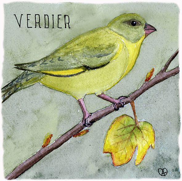 verdier copie