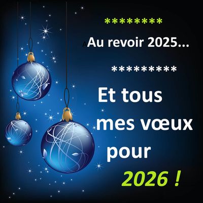 Au revoir 2025... Et...