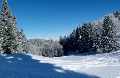 La neige est tombée en abondance... et a fait des paysages de rêve.