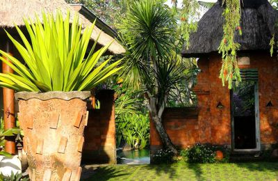 Encore une promenade dans UBUD