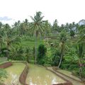 Tour de l'île en voiture, part 2 : de l'est au Nord sur les pentes du Gunung Rinjani