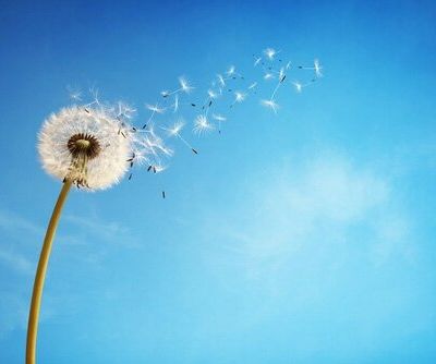 2017 : je prends du temps pour moi