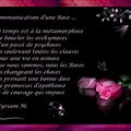 Communication d'une Rose ...