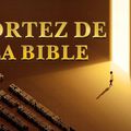 Témoignage chrétien 2020 « La foi dans la Bible est-elle la même chose que la foi en Dieu ? »