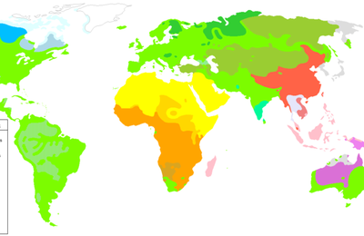 Les langues austronésiennes