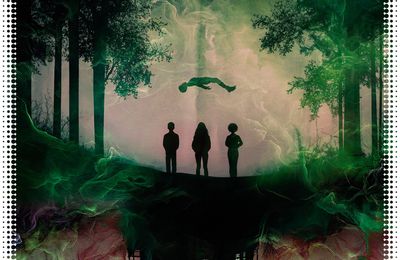 "La Dissonance" de Shaun Hamill