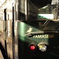 Kawasemi-Yamasemi