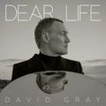 "Dear Life" de David Gray : clairement un « grower » !