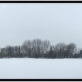 Etang d'Armentières sous la neige