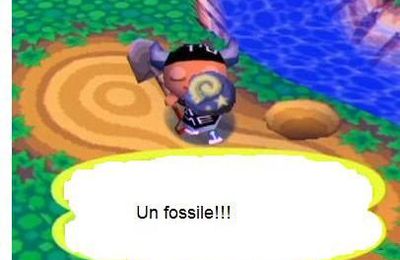 les fossile