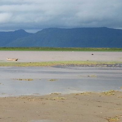 La Tanzanie : Le parc du lac Manyara