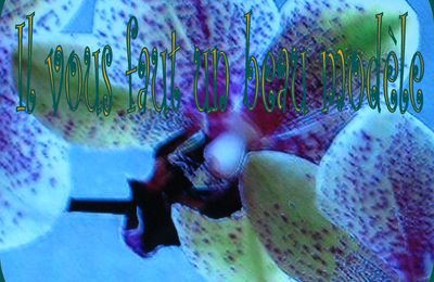 Tuto canne orchidée 