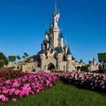 Spécialités Gourmand des différentes régions françaises dans Disneyland Paris