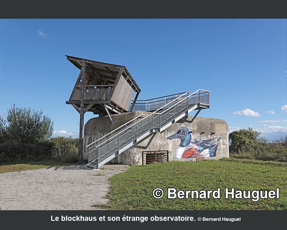 Le Havre Bac Tancarville Normandie Quillebeuf Duclair Le Hode Port Jérôme Berville Eure Seine inférieure Honfleur La seine Le Trait Caudebec en Caux