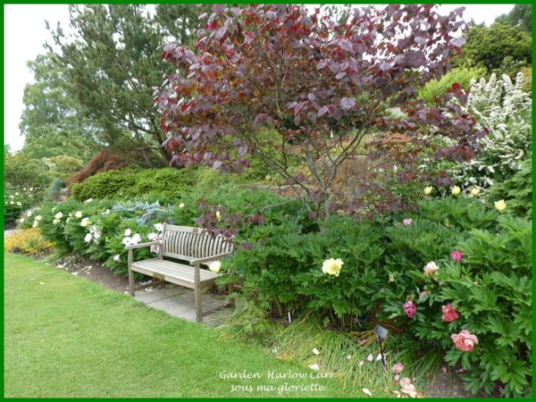 Les jardins de Harlow Carr; YORKSHIRE, Angleterre - 1ère partie/2