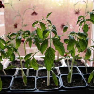 Le soutien des collègues