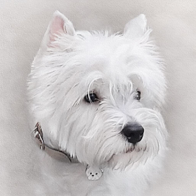 On est à la merci de la météo...... il a neigé .... c'est beau!    